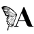 AURA BY FF